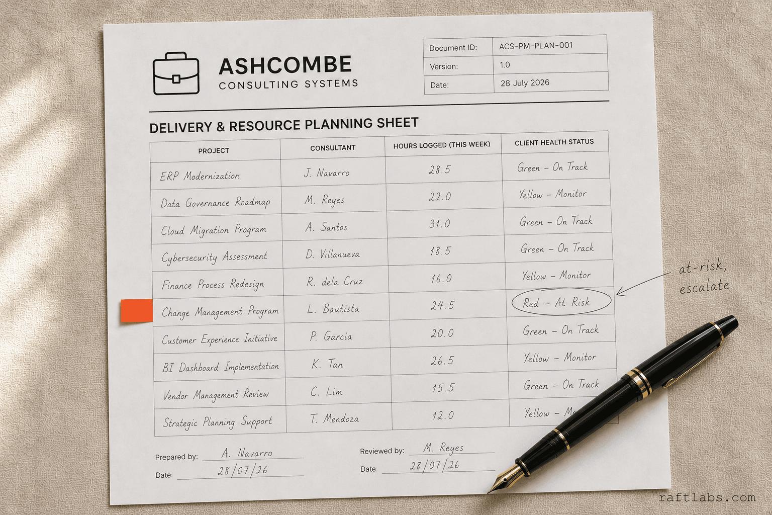 Professional Services Project Management Software