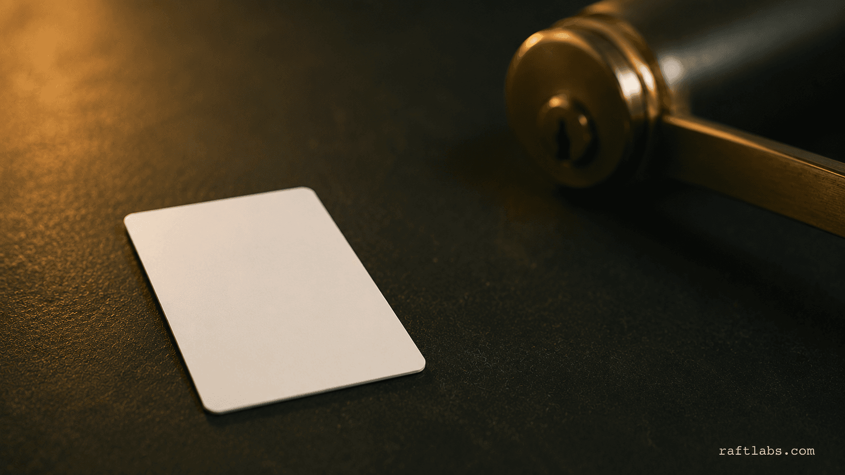 Building Custom Booking Software Case Study